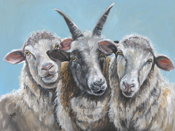 ART What are Ewe Looking At Canvas