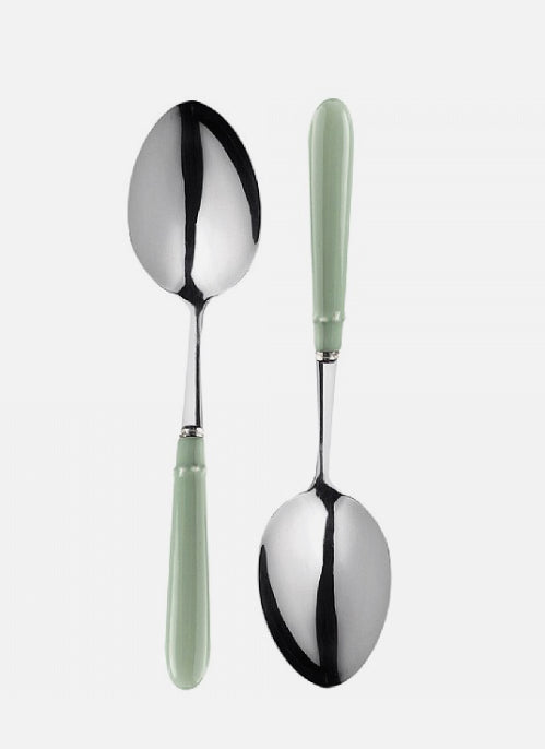 MARY BERRY SIGNATURE SET OF 2 SERVING SPOONS PISTA