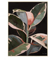 ART MAR Robusta Painting