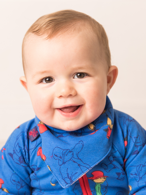 Blade & Rose Paddington Bib