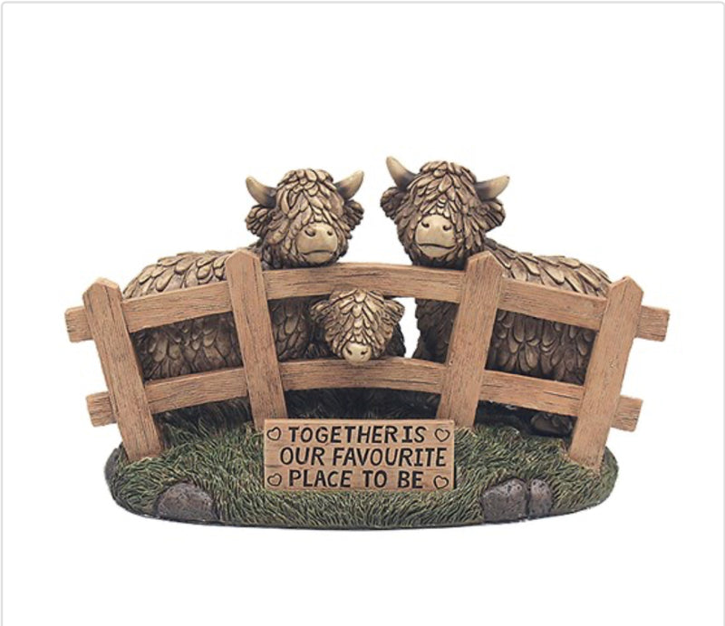 JD Hughie Highland Cow Together