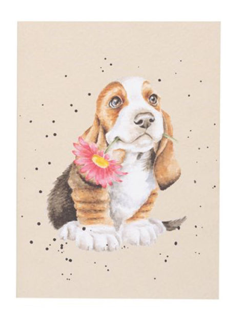 Wrendale A6 Dog Notebook Just For You