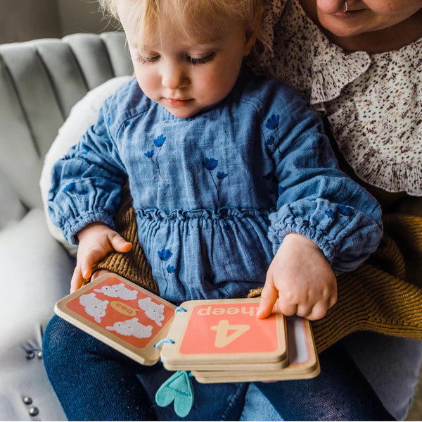 One Fox Book Orange Tree Farmyard Animal Counting Book – Creative Ideas Home and Gift