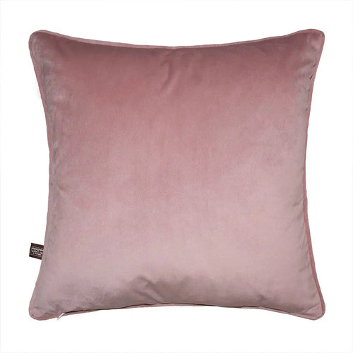 Scatter Box Allegra 45x45cm Blush Sage Cushion