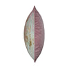 Scatter Box Allegra 45x45cm Blush Sage Cushion