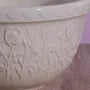Mason & Cash In The Meadow S12 Cream Mixing Bowl