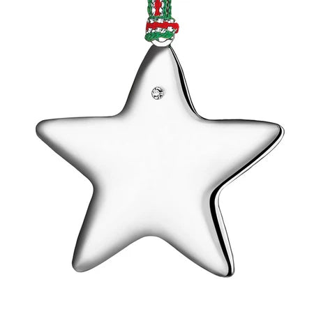 Newbridge Star with Clear Stone Hanging Decoration