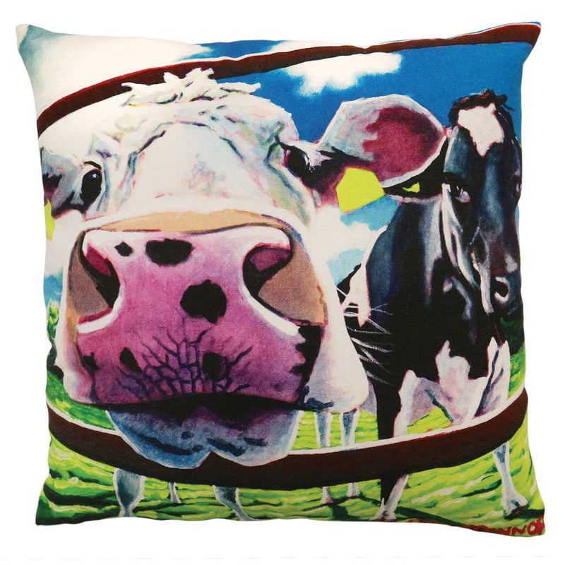 STAR BUY Tipperary Crystal Eoin O'Connor 45cm Cushion - Breaking Boundaries