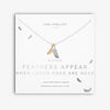 Joma Necklace - Feathers appear when loved ones are near -