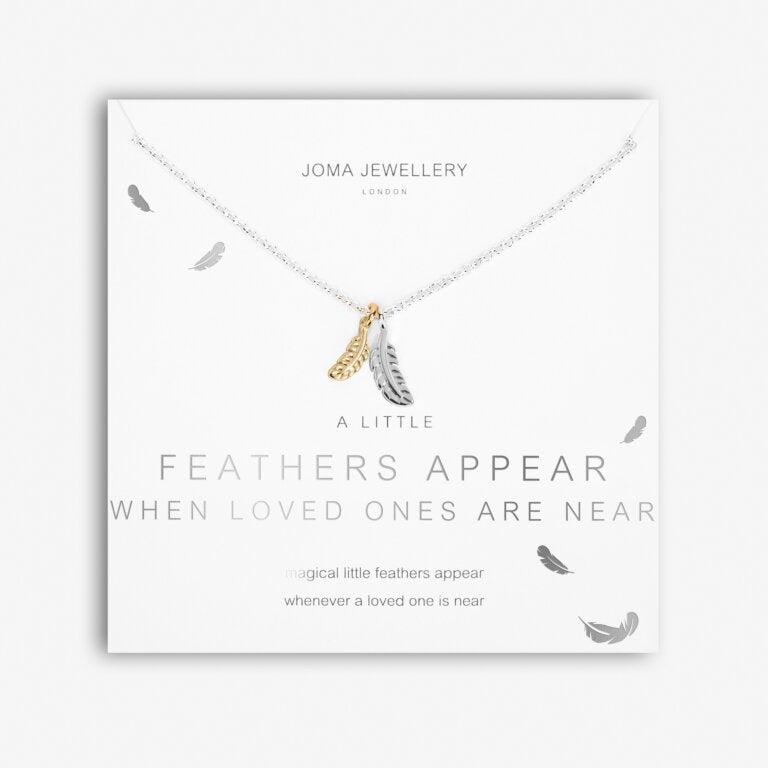 Joma Necklace - Feathers appear when loved ones are near -