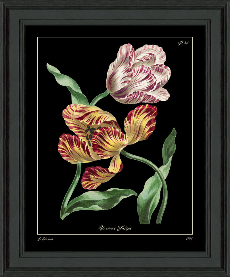 ART Tulips