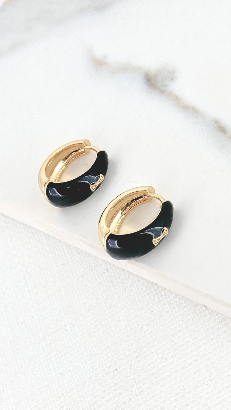 ENVY 4122/BK/E/F Earrings