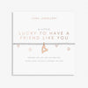 Joma A Little 'Lucky To Have A Friend Like You' Bracelet In Silver And Rose Gold Plating