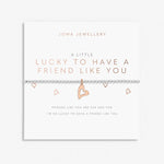 Joma A Little 'Lucky To Have A Friend Like You' Bracelet In Silver And Rose Gold Plating