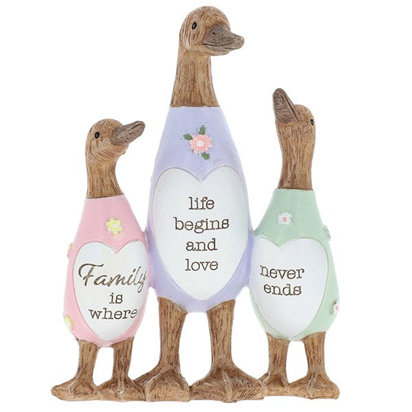JD Daisy Message Duck Family Group