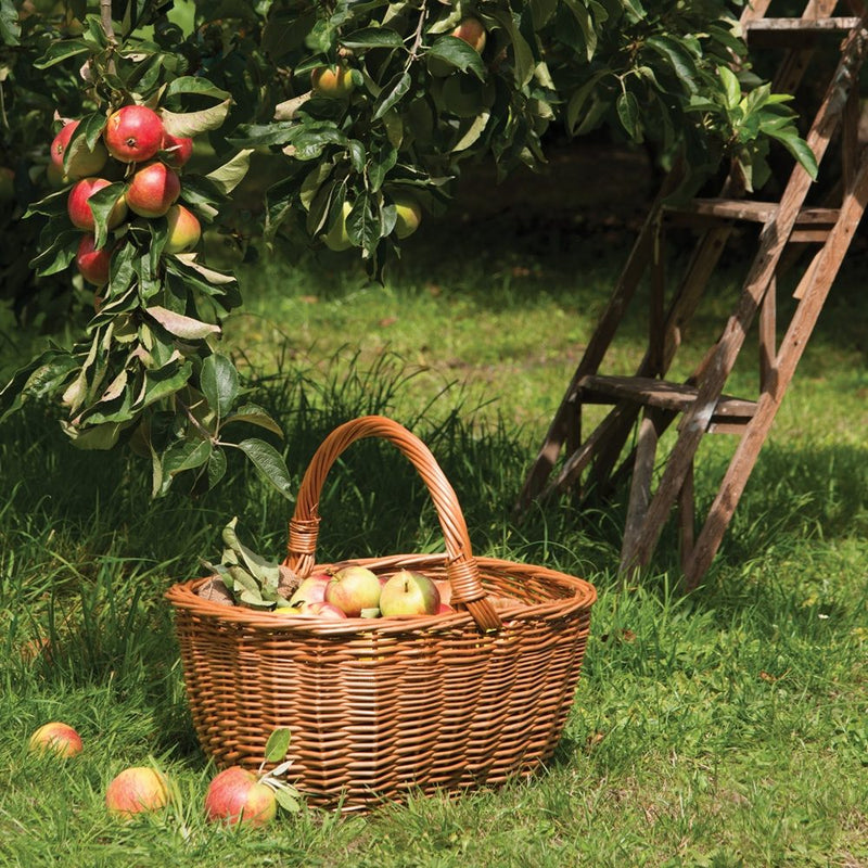 EDD FULLY LINED HAND BASKET