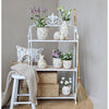 Chic Antique Shelving Unit with 3 shelves in Wood