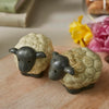 Cooksmart Highland Sheep Shaped Salt and Pepper Shakers